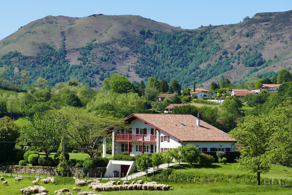 BaskoParadis I Eco-Gite I Bright I Bed 160 I Terrace I Panoramic view I Donkeys