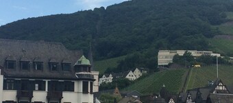 Haus am Weinberg med utsikt over Rhinen og vinmarkene