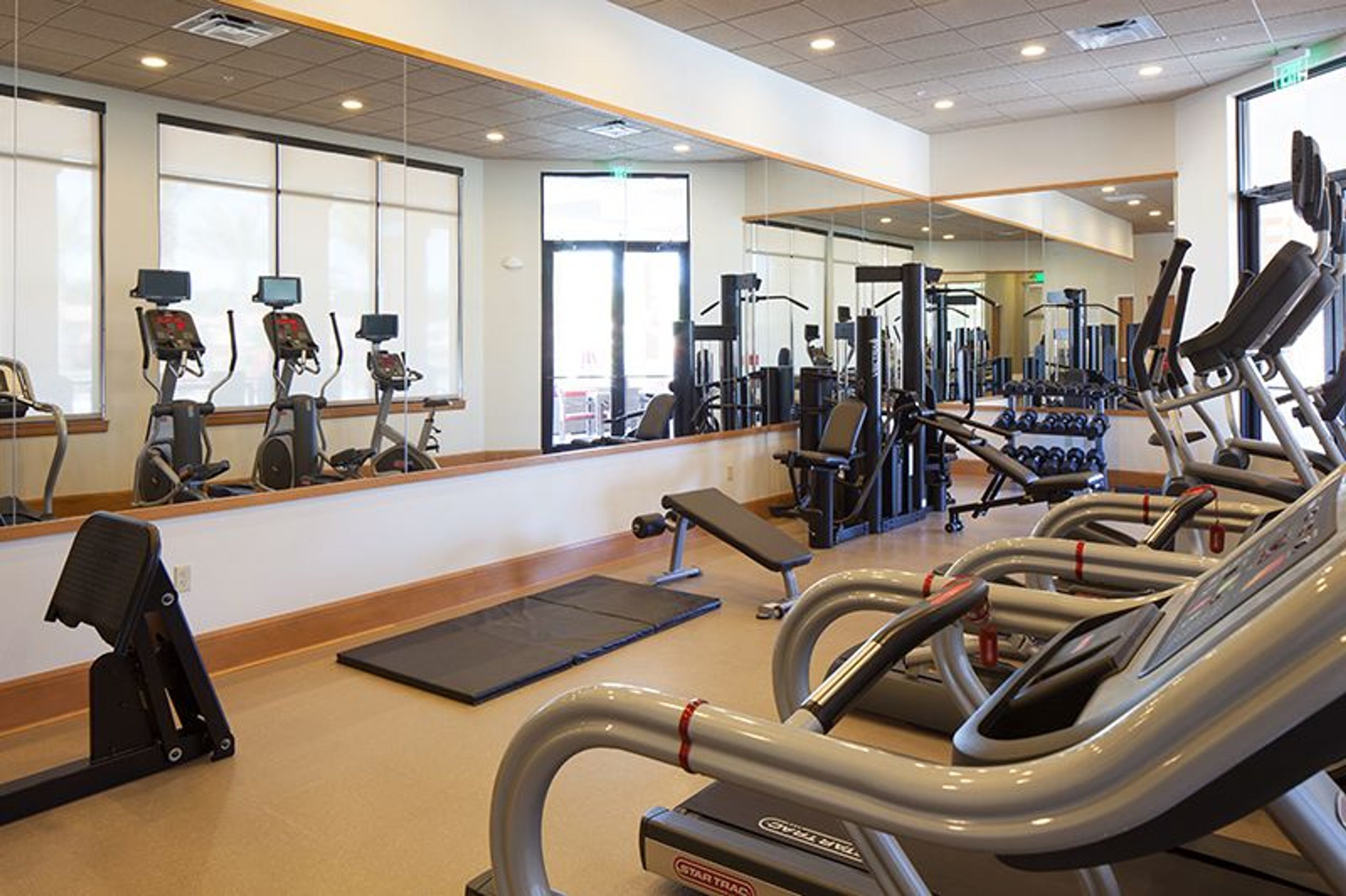 A gym with treadmills, weight machines, and a mirror wall.