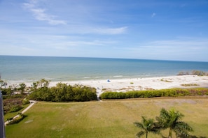 Vista da praia com céu claro, areia dourada e vegetação.