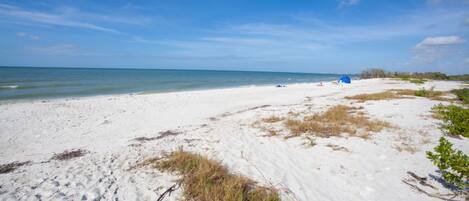 公寓客房, 1 間臥室 | 海灘 | 海灘、沙灘巾