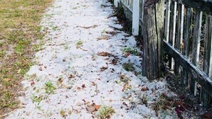 A pathway with a white fence and red flowers, leading to a building with a red door. - Fort Myers Beach Area 2670 (Fort Myers Beach)