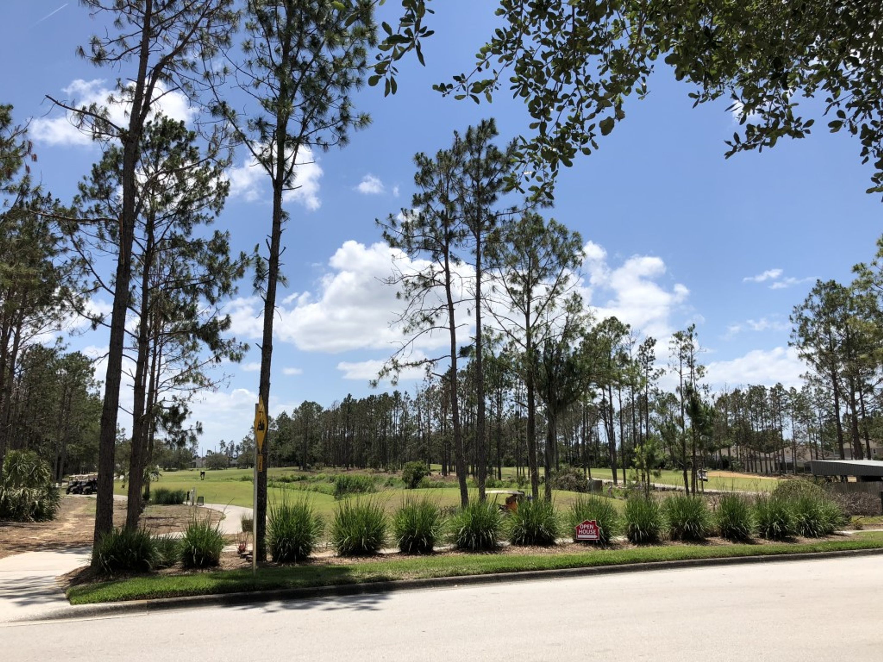 A residential area with a well-maintained lawn, mature trees, and a clear sky.