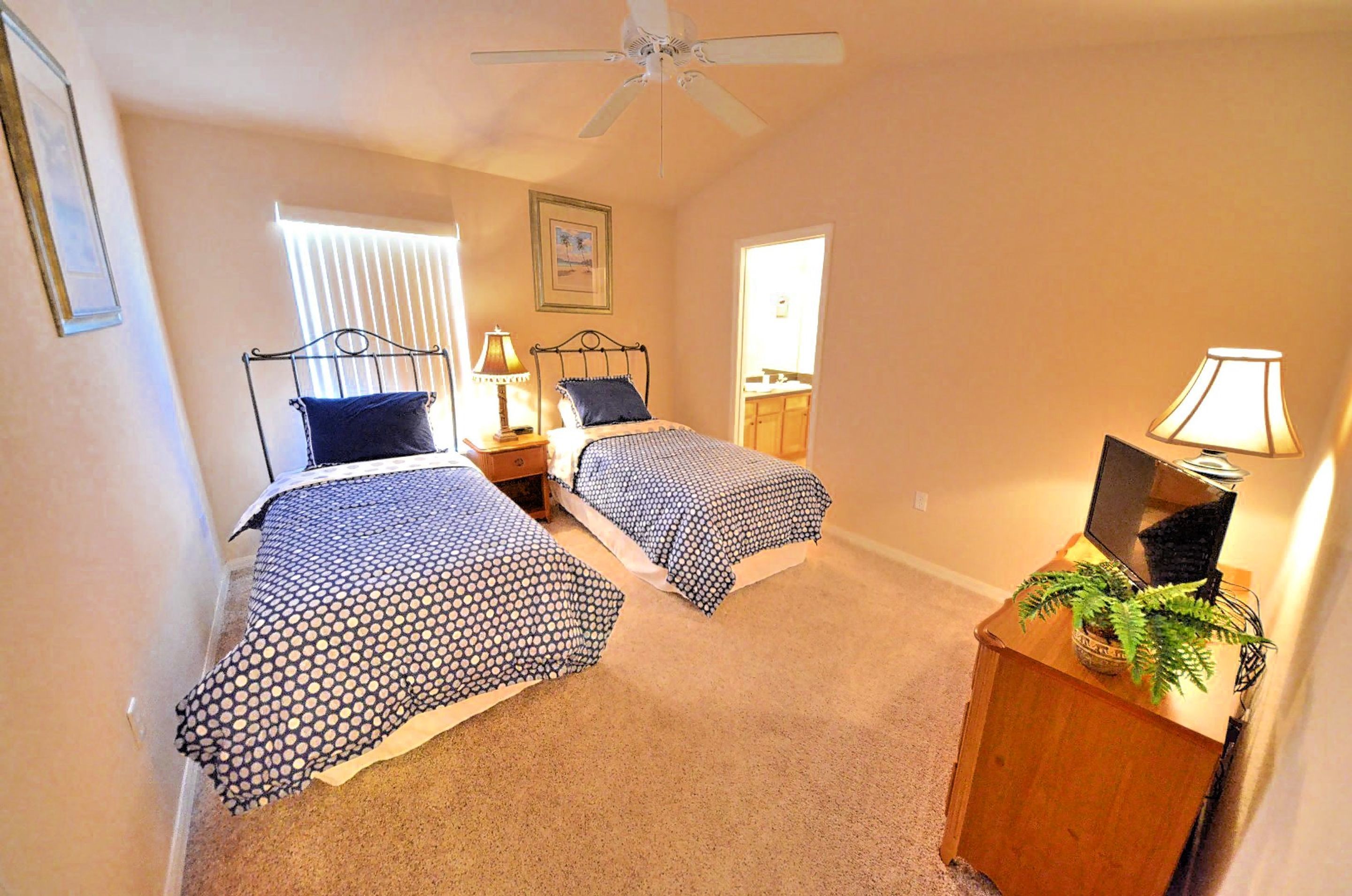 A bedroom with two beds, a ceiling fan, a bedside lamp, a framed picture on the wall, and a small plant on a nightstand.