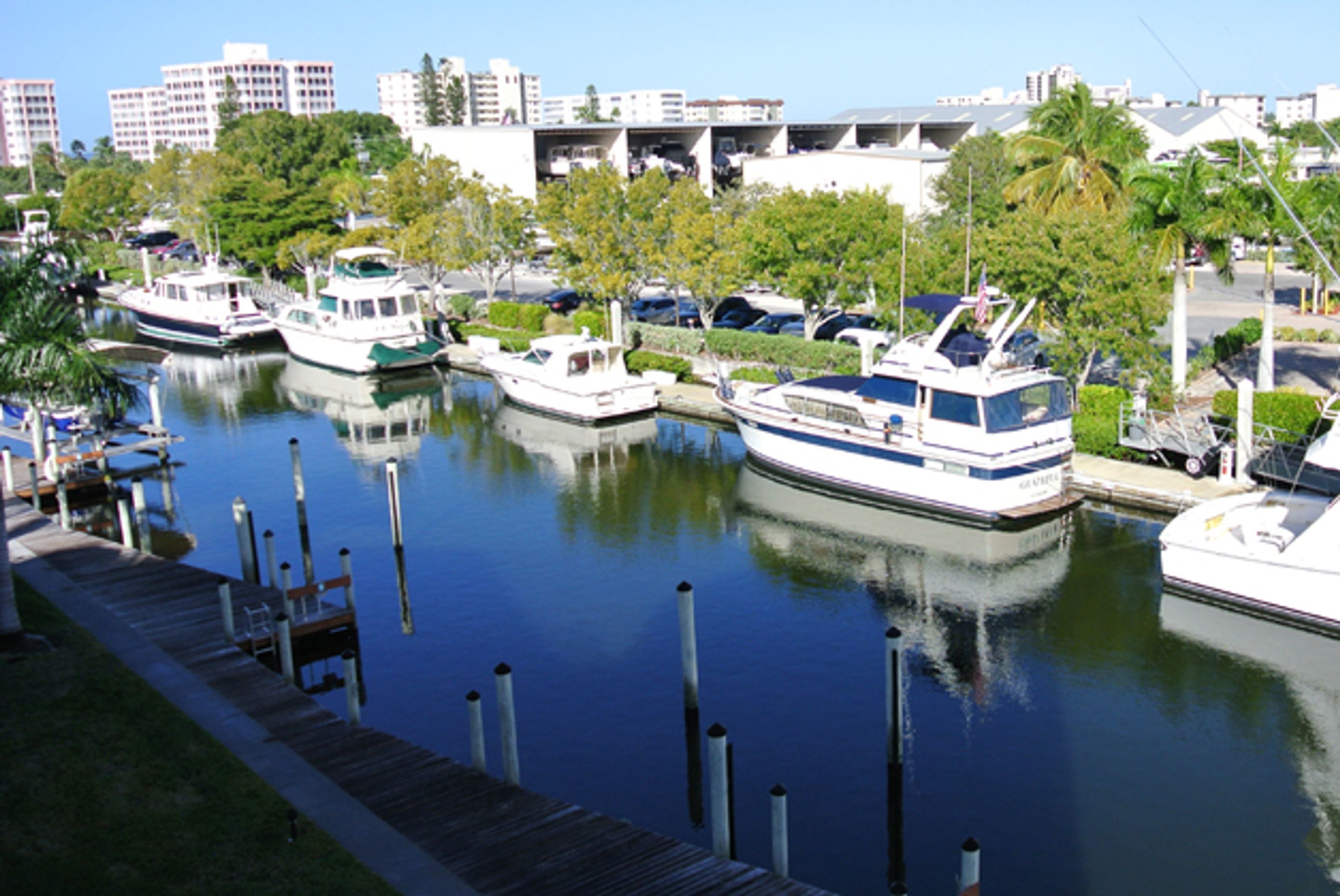 A marina with several boats docked, a wooden dock, and a cityscape in the background.
