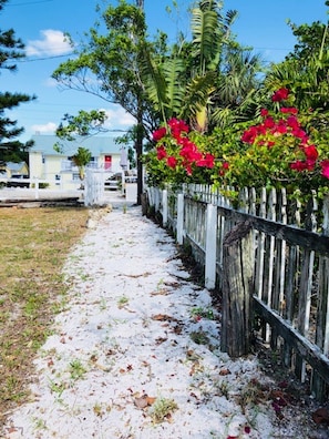 Stroll through a serene residential area surrounded by lush greenery and vibrant flowers.