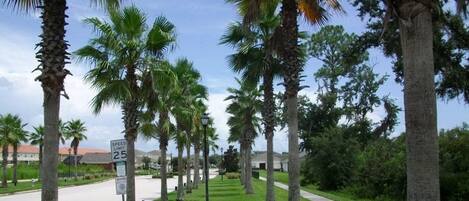 House, 6 Bedrooms | Property grounds