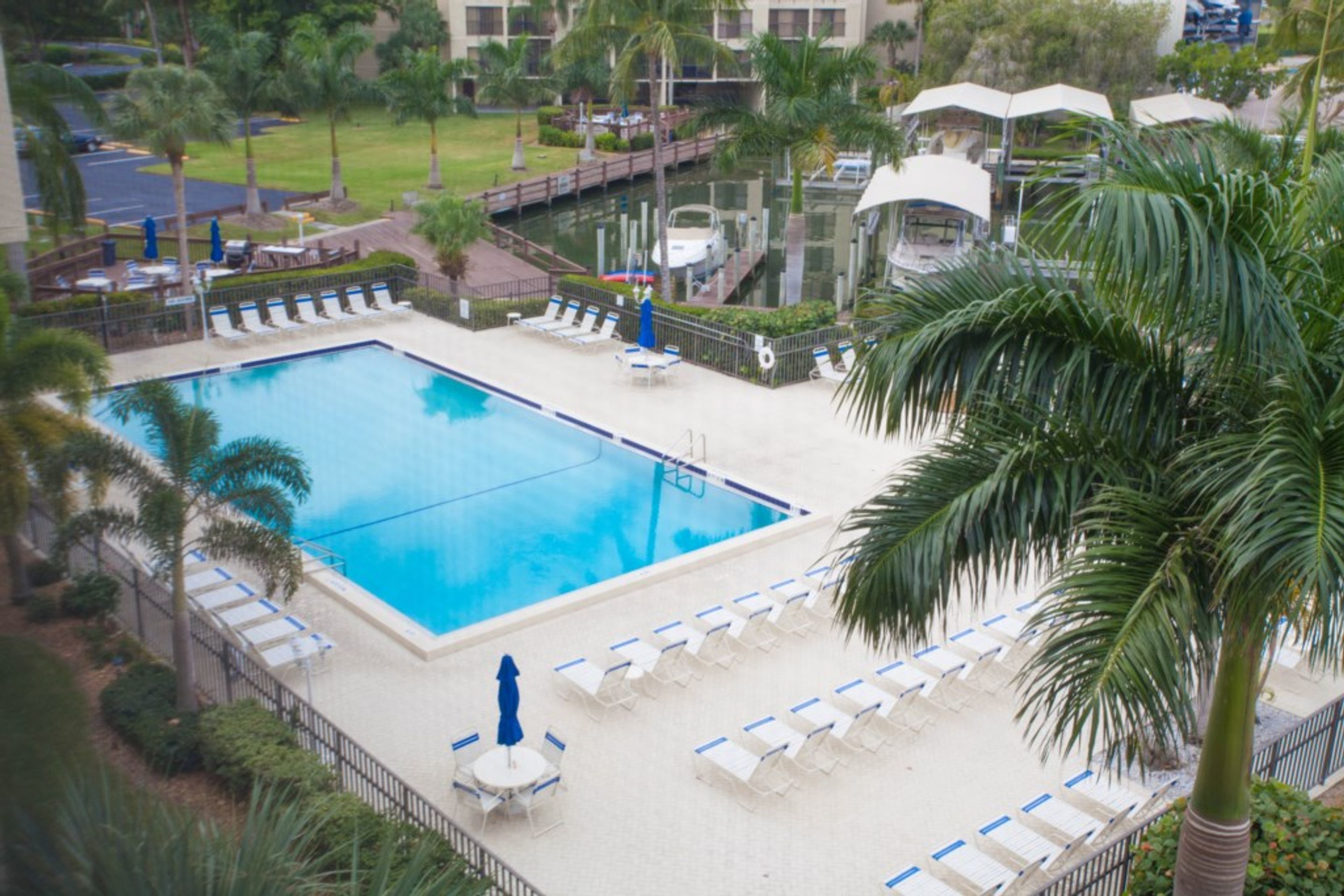 A swimming pool with lounge chairs and umbrellas, surrounded by palm trees and a view of a marina.