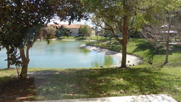 Resortwoning, 3 slaapkamers | Meer