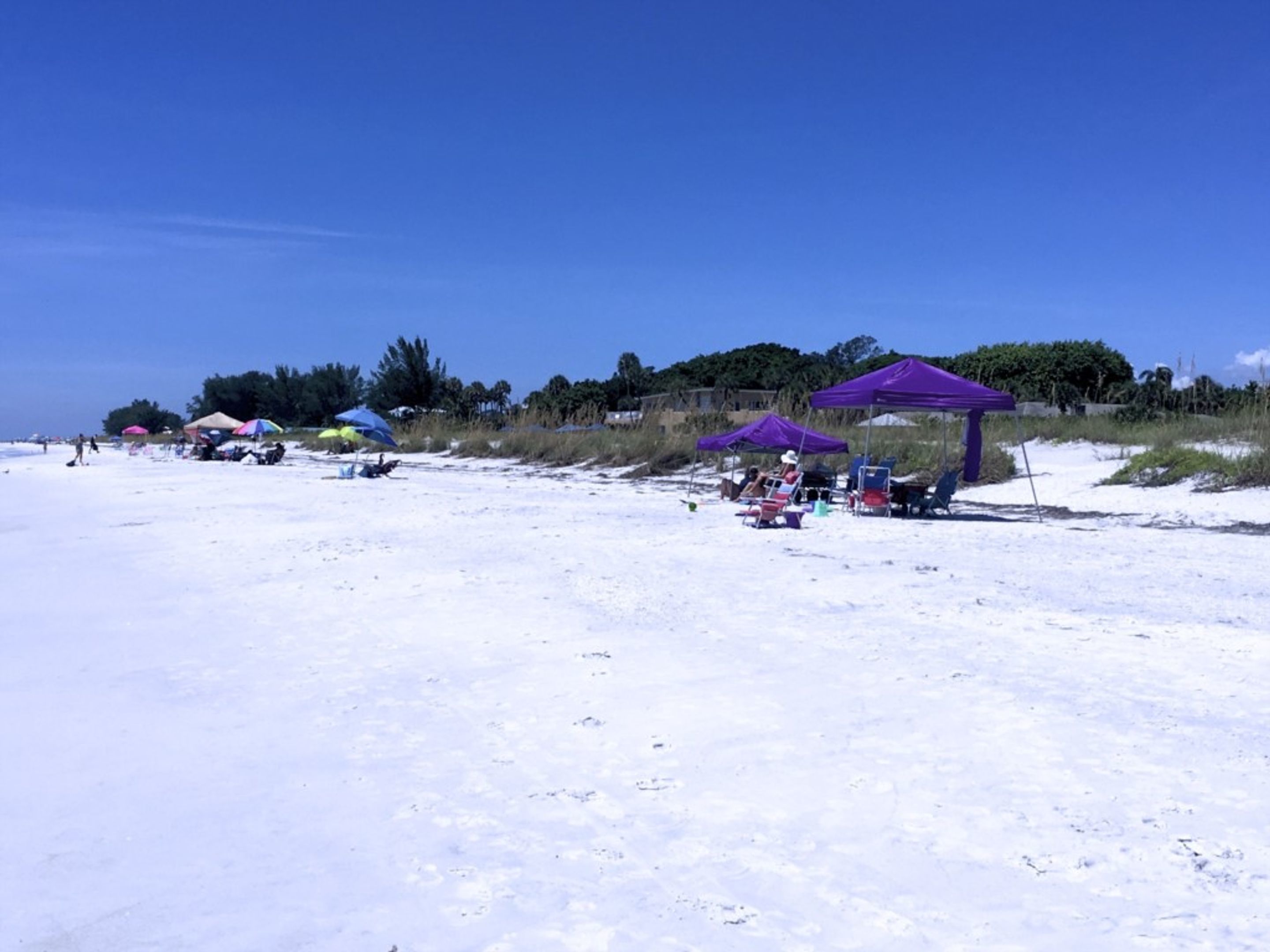 A beach with several purple canopies providing shade.