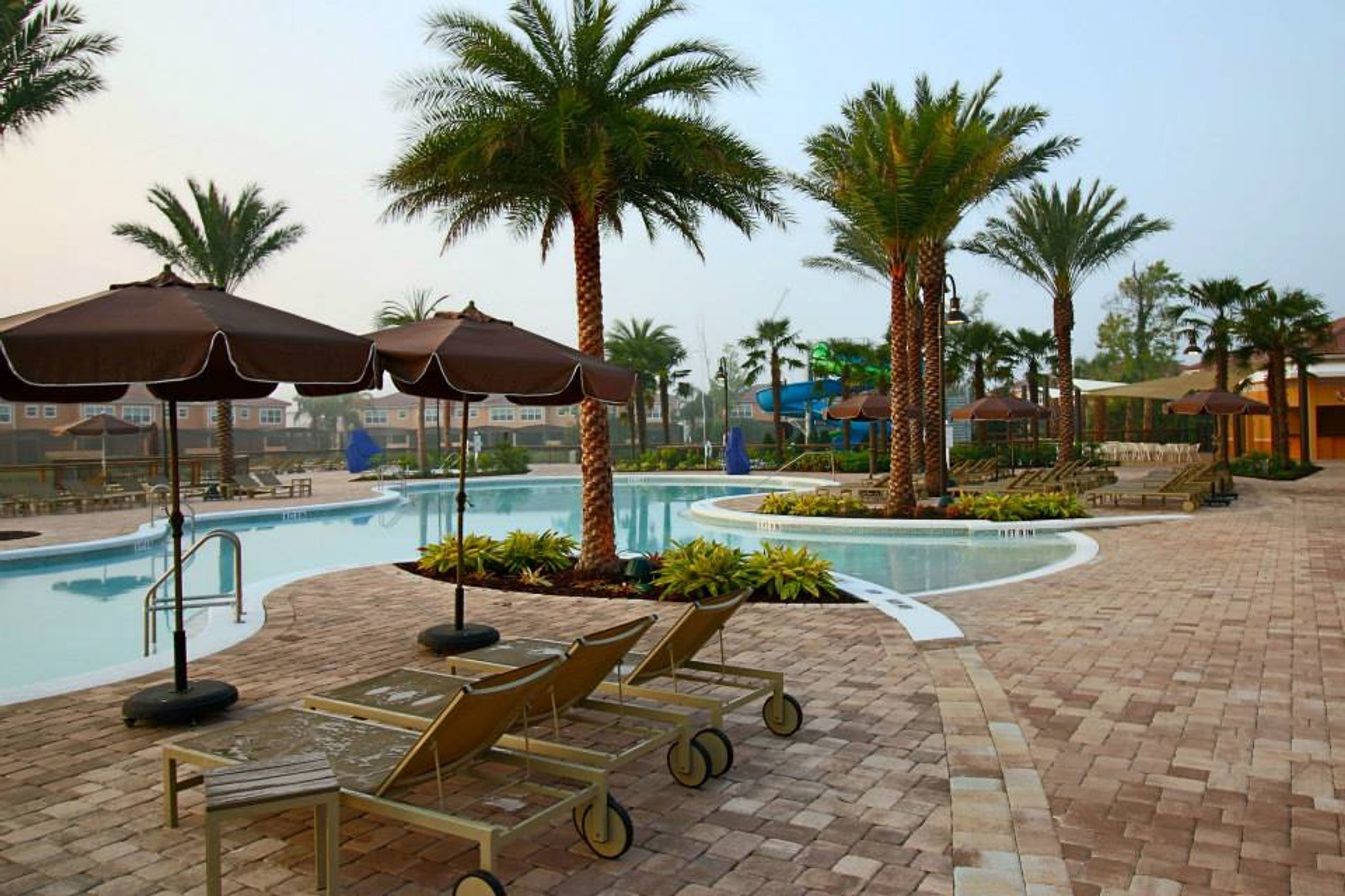 A poolside area with lounge chairs, umbrellas, and palm trees.