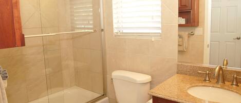 A bathroom with a glass shower enclosure, a toilet, a sink with a granite countertop, and a mirror.