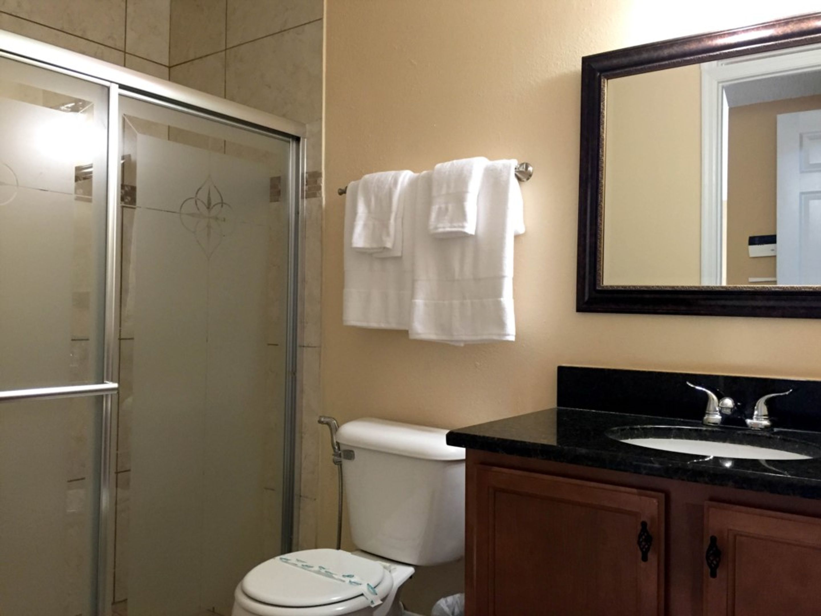 A bathroom with a glass shower enclosure, a white toilet, a sink with a black countertop, and a mirror above the sink.