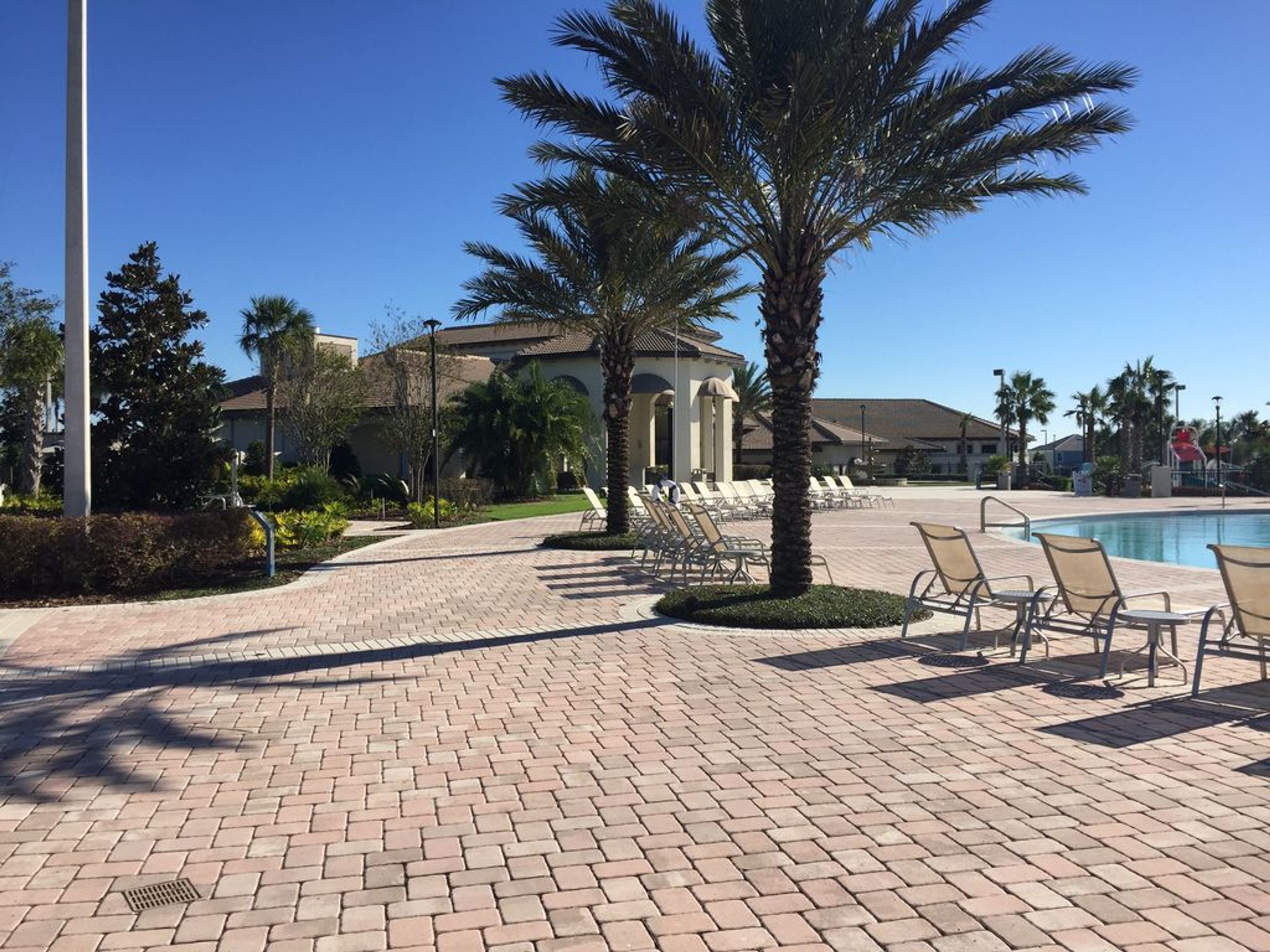 A poolside area with lounge chairs, palm trees, and a building with arched windows.