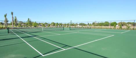 A tennis court with a net, surrounded by a fence and palm trees.