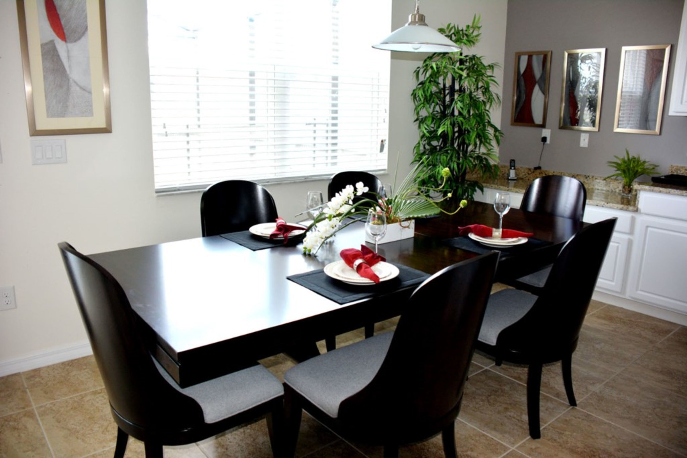 Un comedor con una mesa de madera oscura, sillas negras y una planta en maceta.