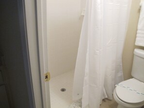 A bathroom with a toilet, a shower curtain, and a door.