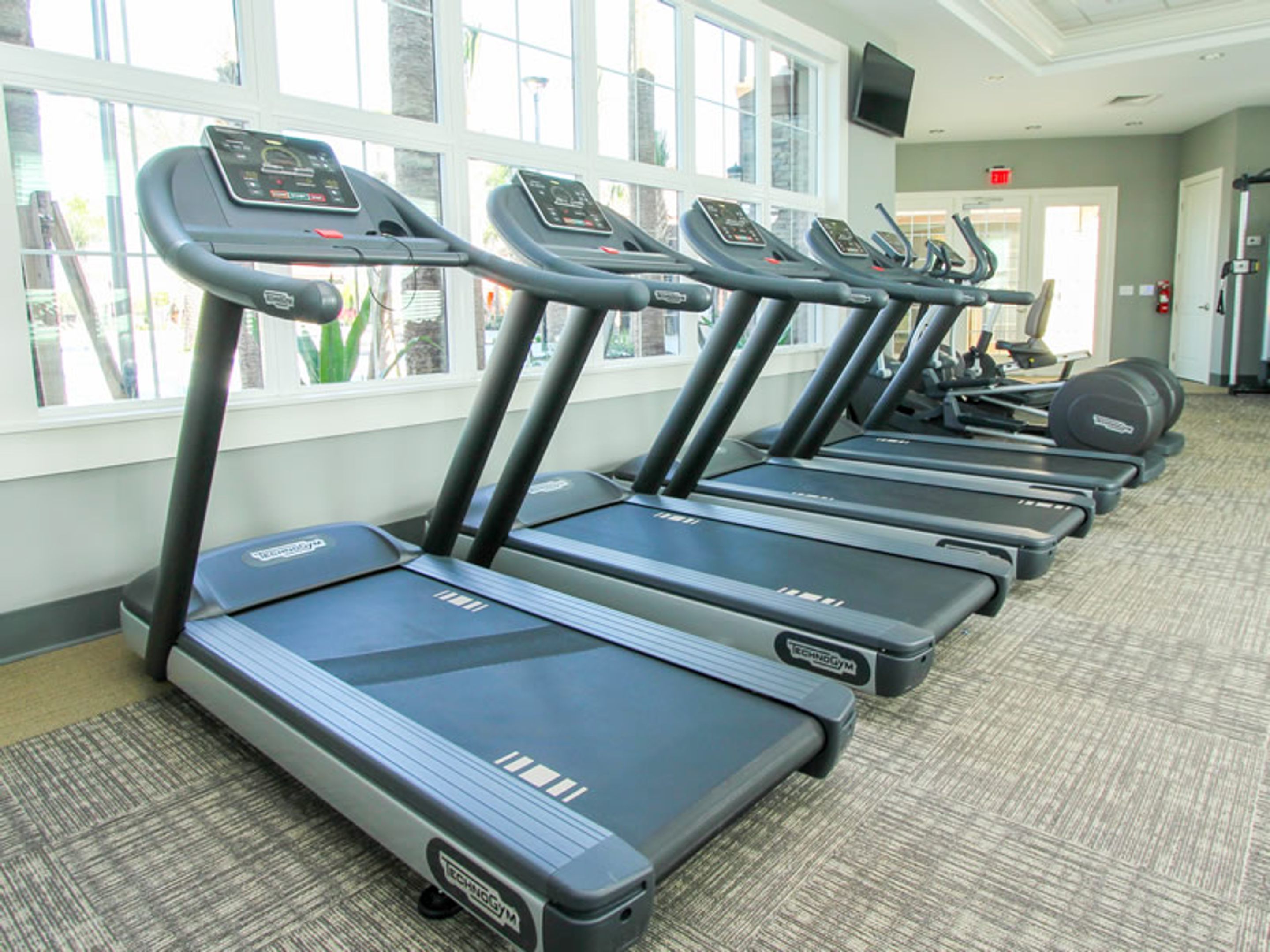 A row of treadmills in a gym with large windows and a carpeted floor.
