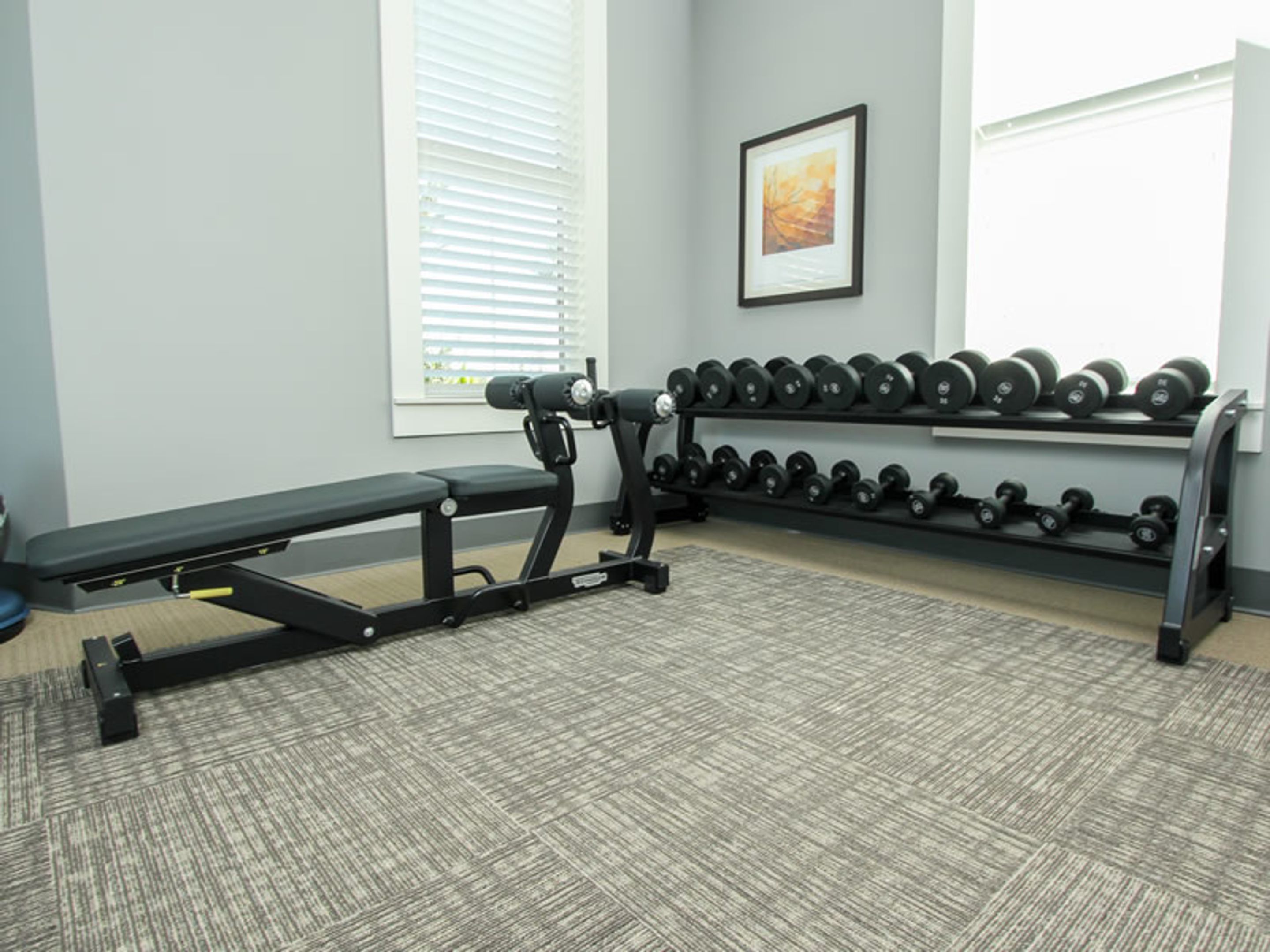 A gym with a bench, dumbbells, and a wall-mounted rack.