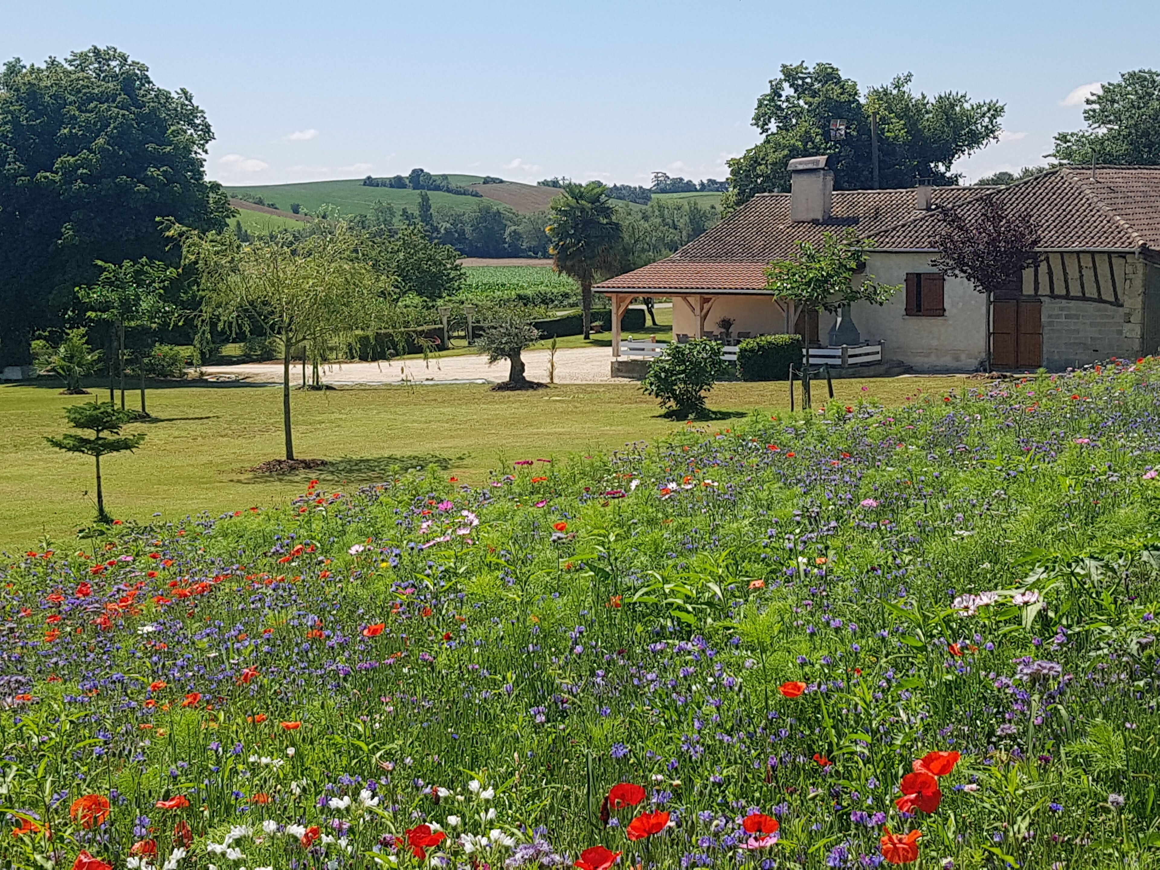 House in the countryside capacity from 6 to 15 people