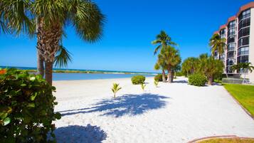 Condo, 2 Bedrooms | Beach | On the beach