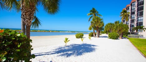 콘도, 침실 2개 | 해변 | 해변에 위치