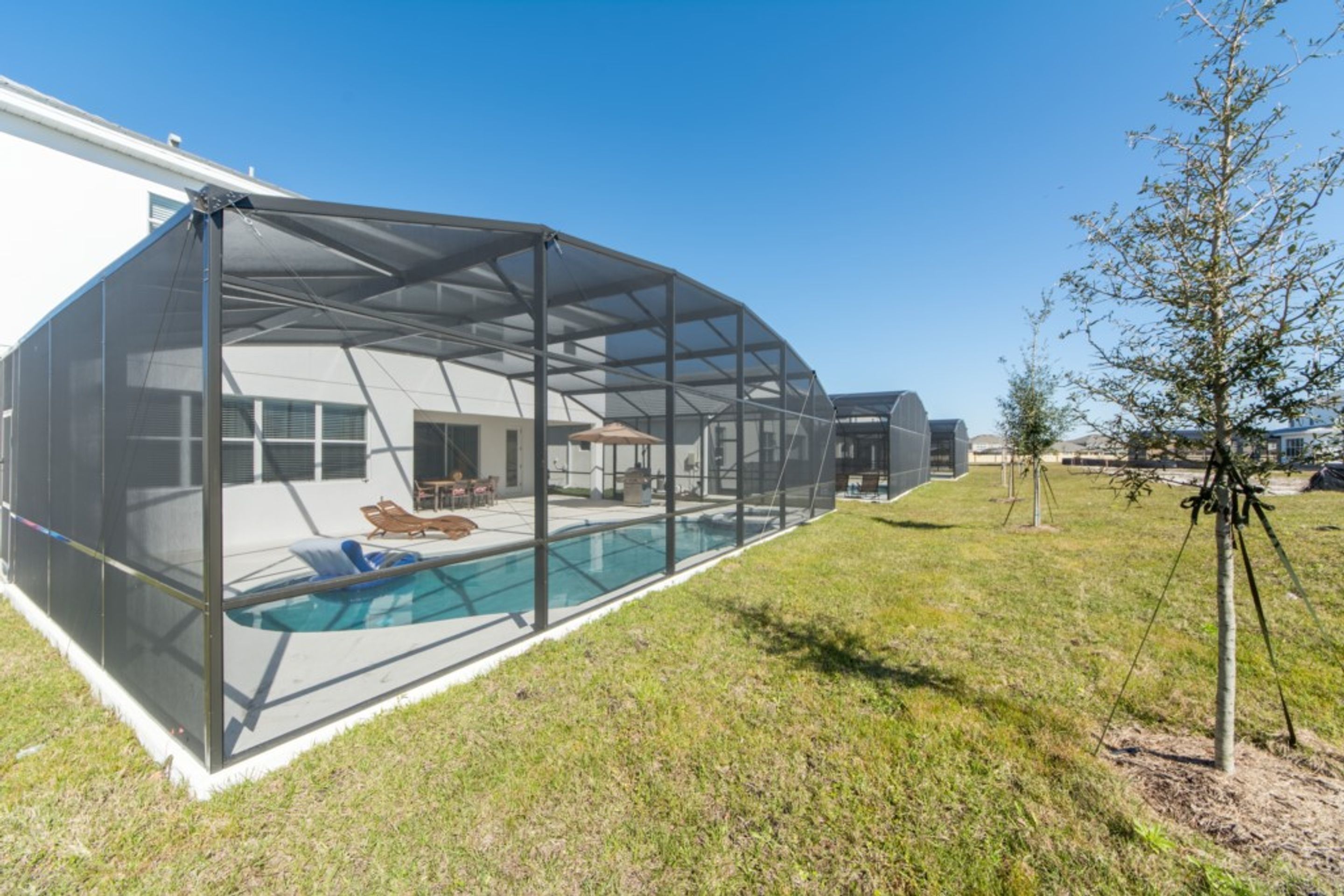 A modern house with a covered swimming pool, a lawn, and a tree.