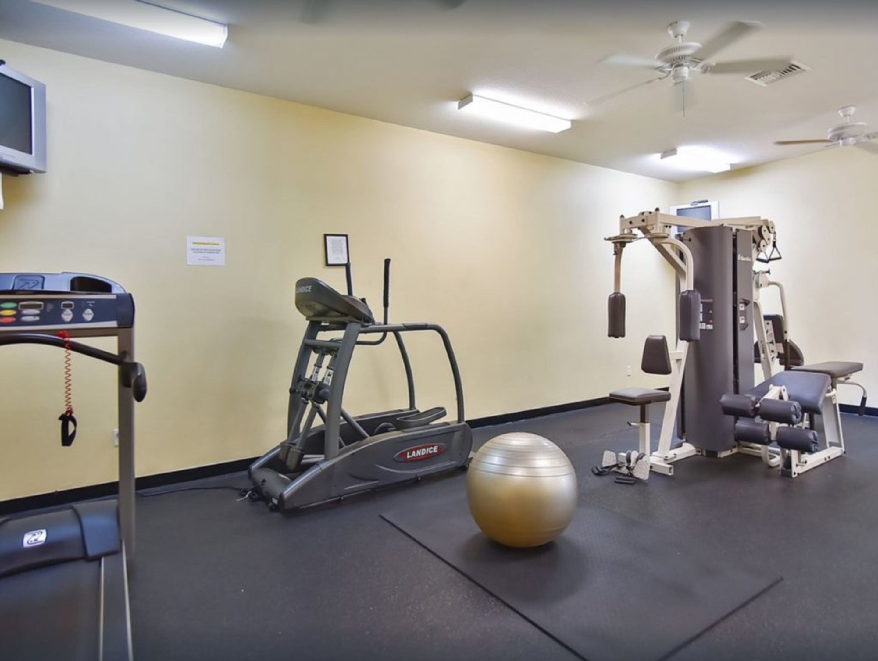 Un gimnasio con cinta de correr, elíptica, máquina de pesas y pelota medicinal.