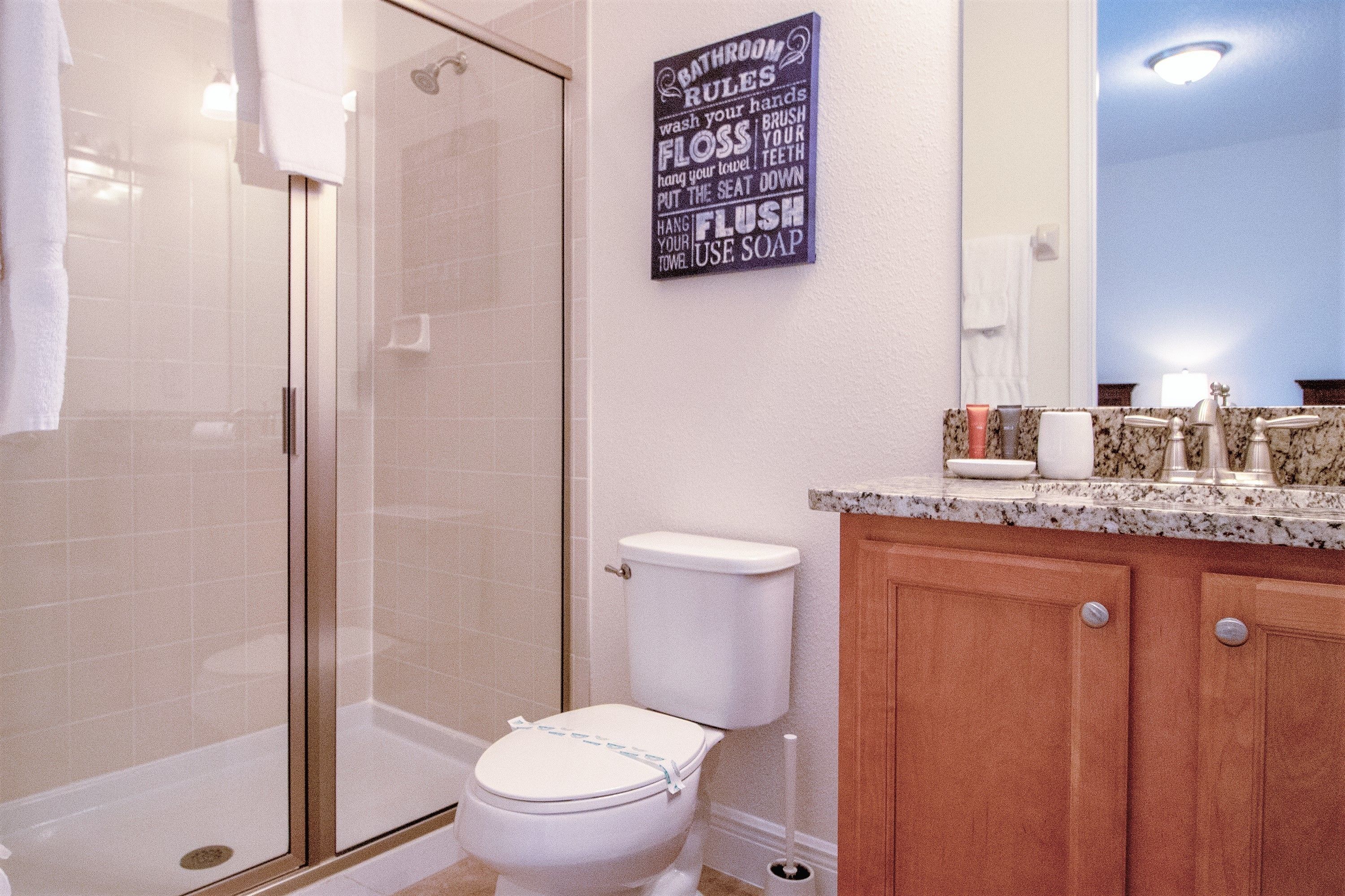 A bathroom with a glass-enclosed shower, a toilet, and a vanity with a mirror and countertop.