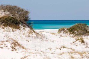 A sandy beach with sparse vegetation and a clear blue sea.