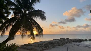 A beach with a palm tree, a wooden structure, and a rocky shoreline.