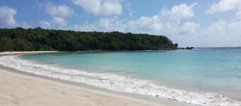 "Dos Coquis" - Walk to the Beach with this perfect island home away from home!