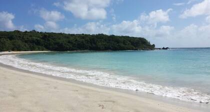 "Dos Coquis" - Walk to the Beach with this perfect island home away from home!