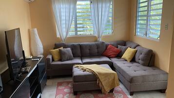 Smart-tv, dvd-afspiller, videobibliotek, stereoanlæg