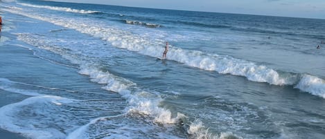 Playa en los alrededores y camastros