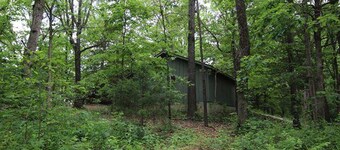House in the Trees