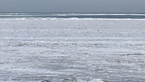 A beach with a wide expanse of sand and gentle waves. - Lakefront 3-BR Home Summer Getaways & Sports Force (Sandusky)