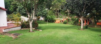 Los Olivos