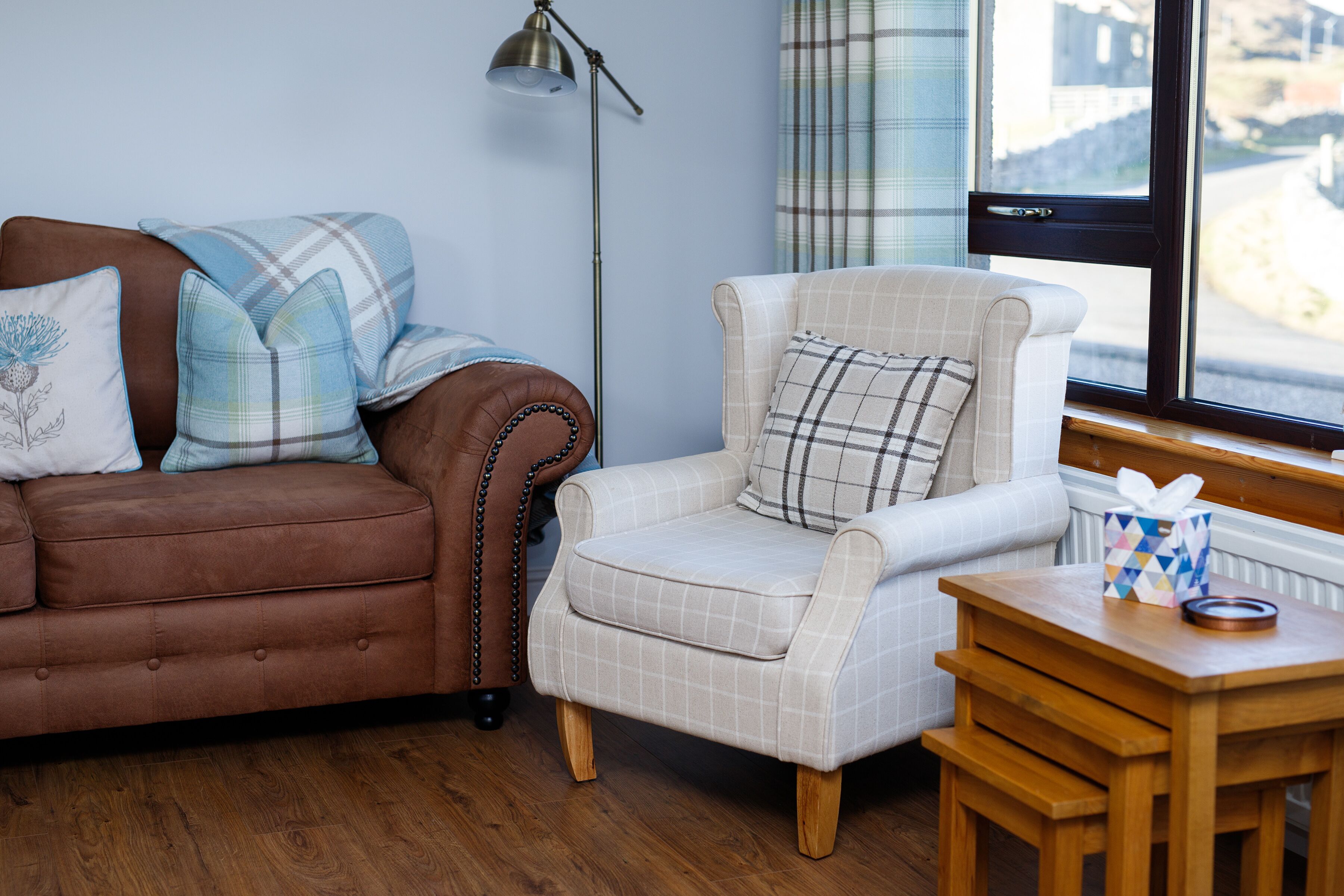 Televisión, reproductor de DVD y libros 