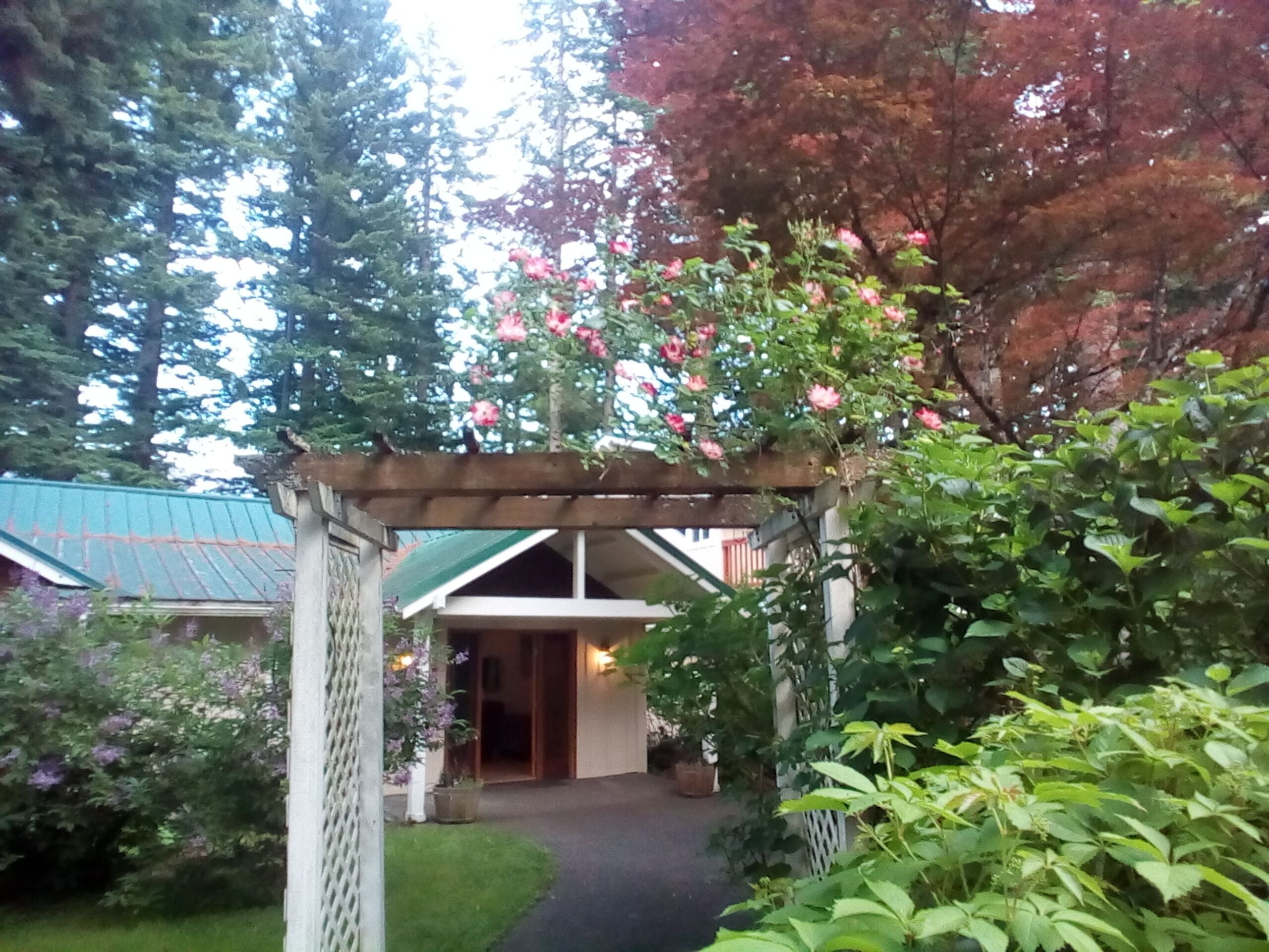 A woodland retreat in Stevenson