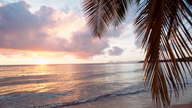 Une plage bordée de palmiers, avec un coucher de soleil.