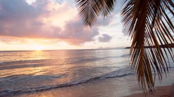 Sun loungers, beach towels
