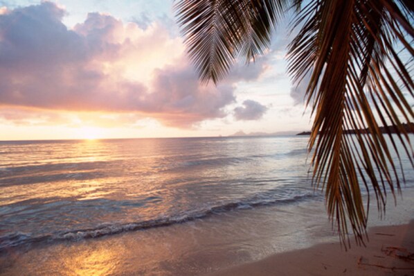Chaises longues, serviettes de plage
