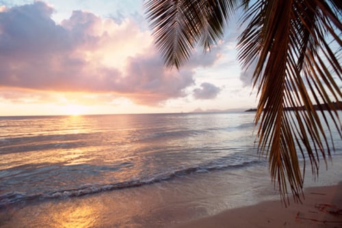 Loistava sijainti ~ 3bed / 2bath ~ 1. 5 mailin päässä rannasta,