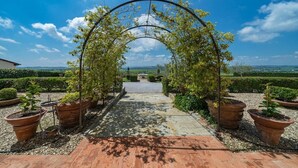 Ein Gartenweg, der zu einem Metallbogen führt, umgeben von Kübelpflanzen.