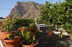 Escape to a serene rooftop oasis with lush potted plants and breathtaking mountain views.