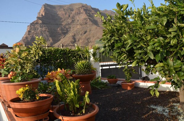 Terrain de l’hébergement 