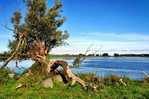 Nicht klassifiziertes Bild, 5 von 37, Schaltfläche