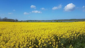 Uklassifisert bilde, 3 av 30, knapp