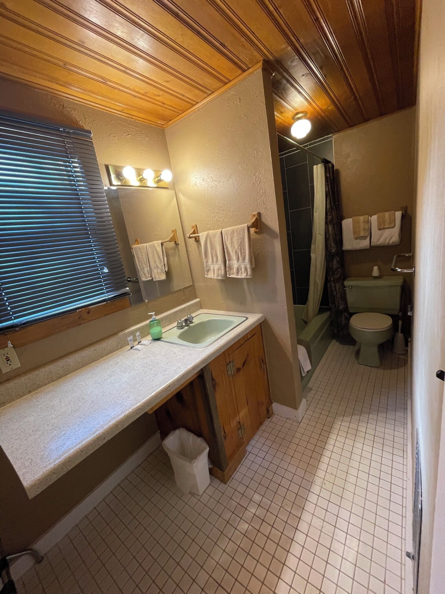 standard room, 1 king bed, non smoking, mountain view | bathroom | combined shower/bathtub, hydromassage showerhead, free toiletries